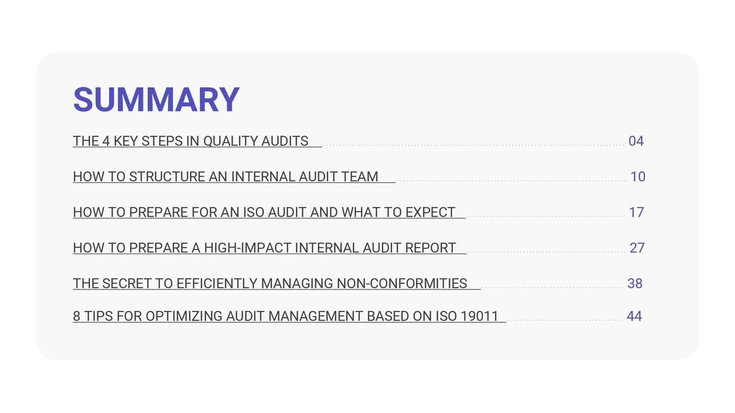 Audit_in_practice_c1435fd621_page-0003.jpg