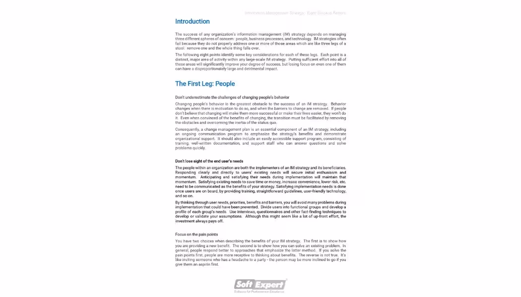 Information Management Strategy Eight Success Factors 1.webp