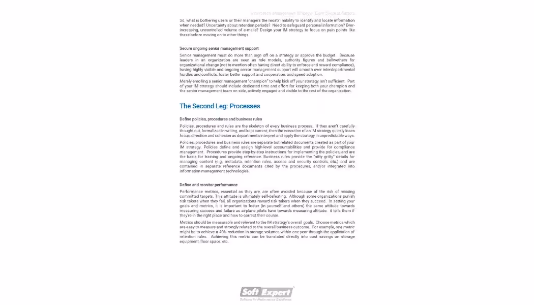Information Management Strategy Eight Success Factors 2.webp