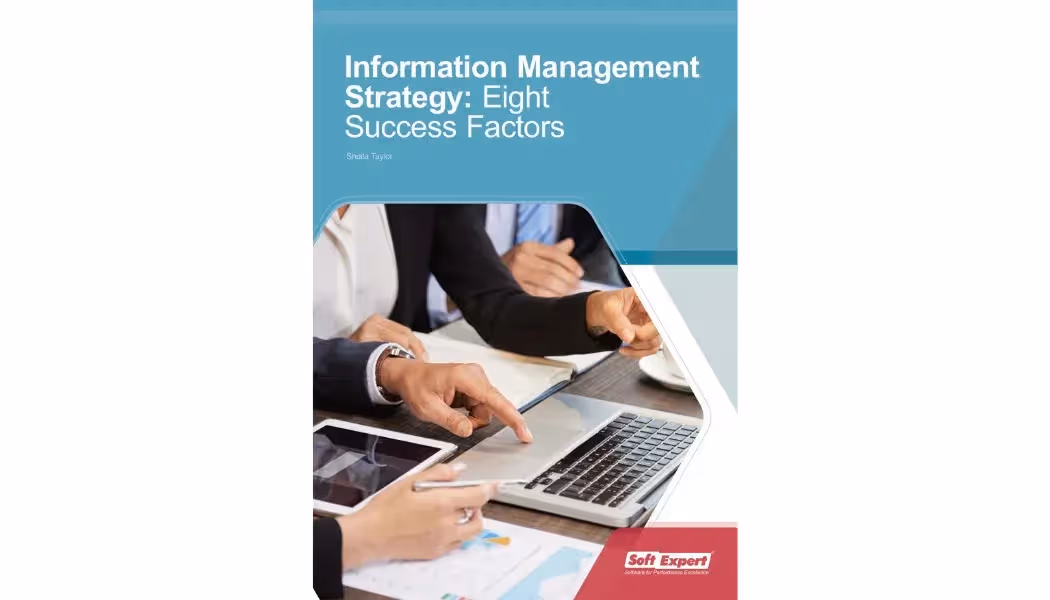 Information Management Strategy Eight Success Factors.webp