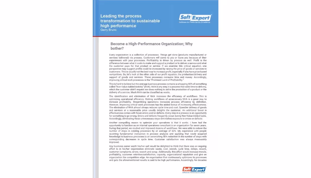 Leading the Transformation Process to Sustainable High Performance 1.webp
