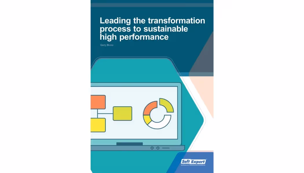 Leading the Transformation Process to Sustainable High Performance.webp