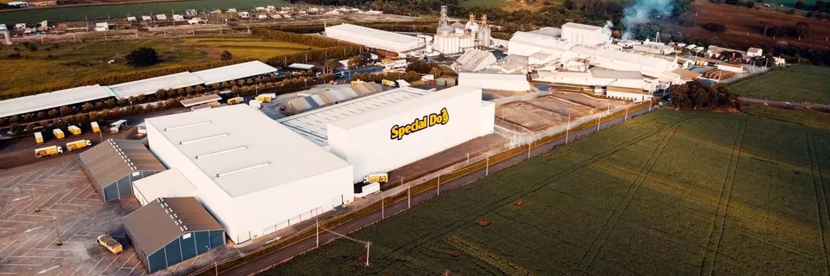 capa special dog DJI_0030 (1).jpg