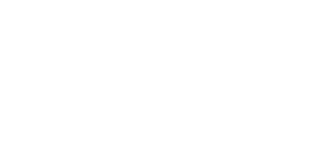 hyundai.png